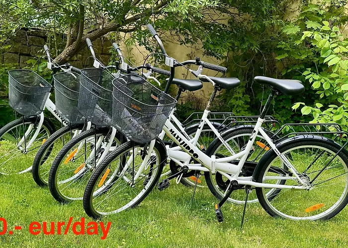 Kohtu Unique * 库雷萨雷